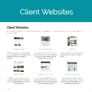 Client Websites