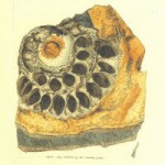 British Mineralogy